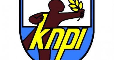 DPP KNPI